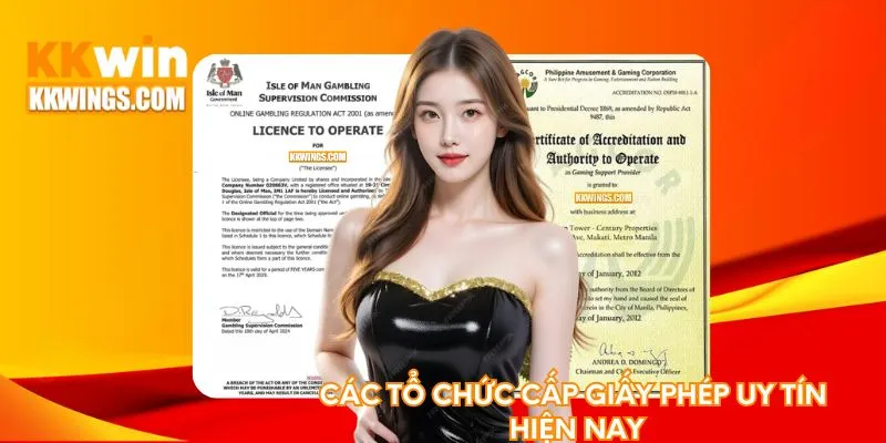 Các tổ chức cấp giấy phép uy tín hiện nay